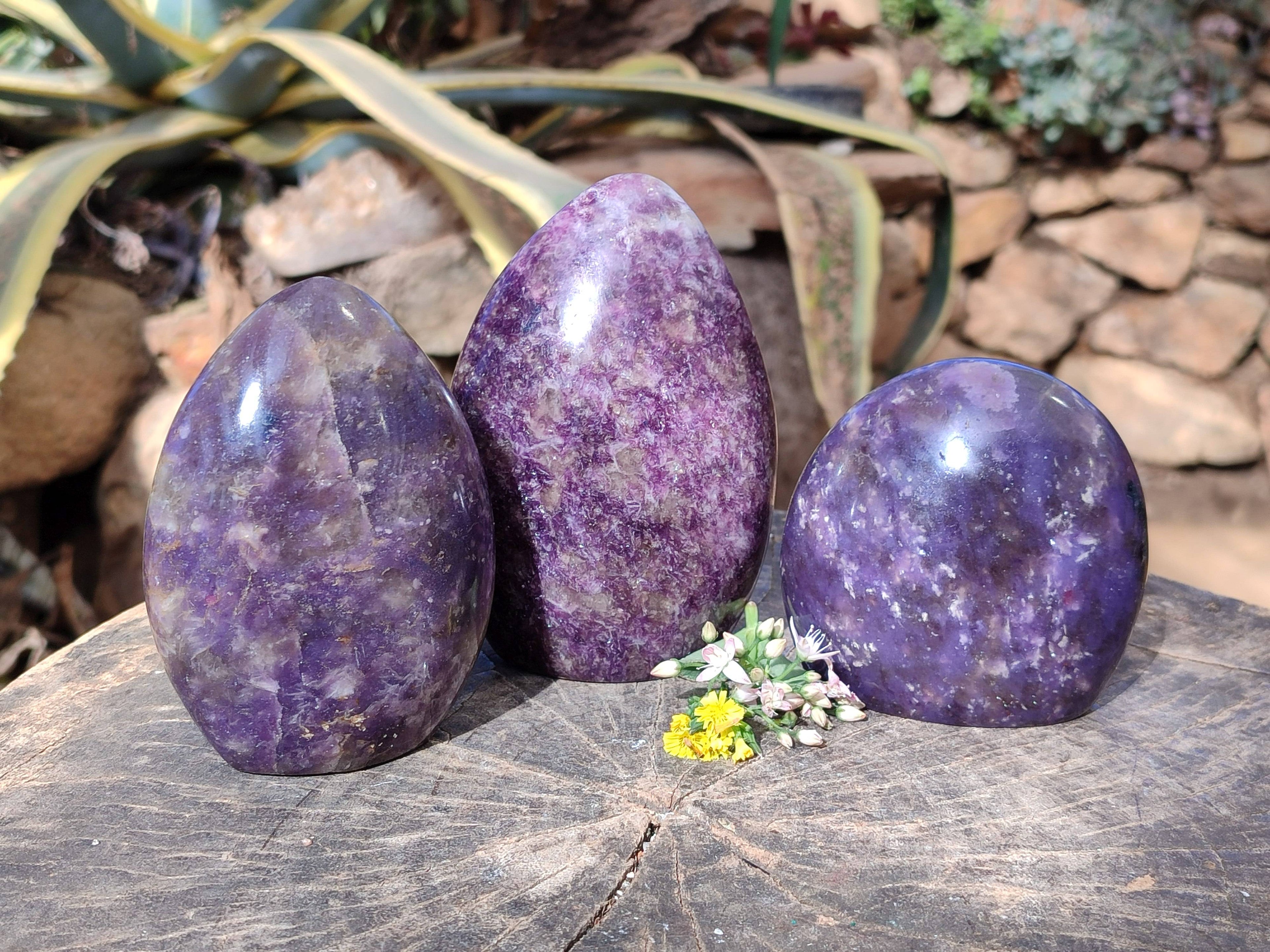 Polished Purple Lepidolite Standing Free Forms x 3 From Zimbabwe - Toprock Gemstones and Minerals 