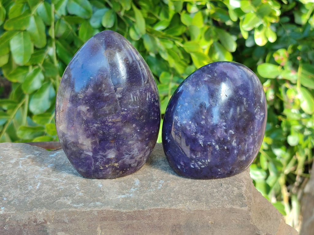 Polished Purple Lepidolite Standing Free Forms x 3 From Zimbabwe - Toprock Gemstones and Minerals 