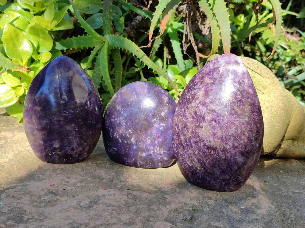 Polished Purple Lepidolite Standing Free Forms x 3 From Zimbabwe - Toprock Gemstones and Minerals 