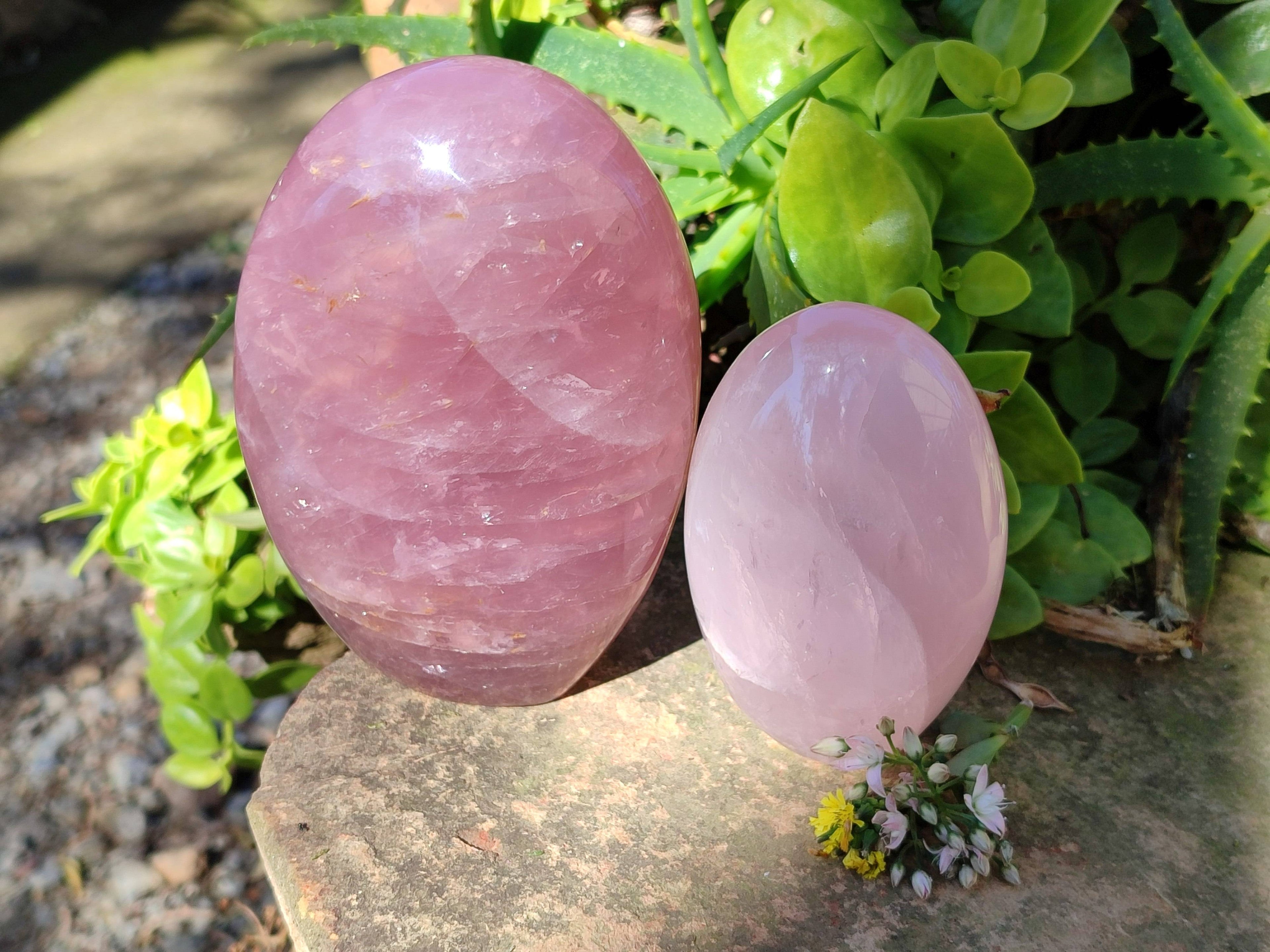 Polished Gemmy Deep Pink and Lavender Rose Quartz Standing Free Forms x 2 Madagascar - Toprock Gemstones and Minerals 