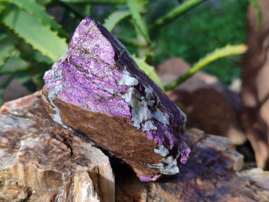 Natural Metallic Purpurite Cobbed Specimens x 3 From Erongo, Namibia - Toprock Gemstones and Minerals 