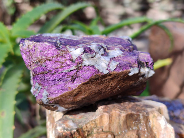 Natural Metallic Purpurite Cobbed Specimens x 3 From Erongo, Namibia