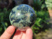 Polished Fossilized Stromatolite Jasper Spheres x 4 From Katsepy, Madagascar