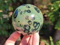 Polished Fossilized Stromatolite Jasper Spheres x 4 From Katsepy, Madagascar