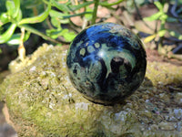 Polished Fossilized Stromatolite Jasper Spheres x 4 From Katsepy, Madagascar