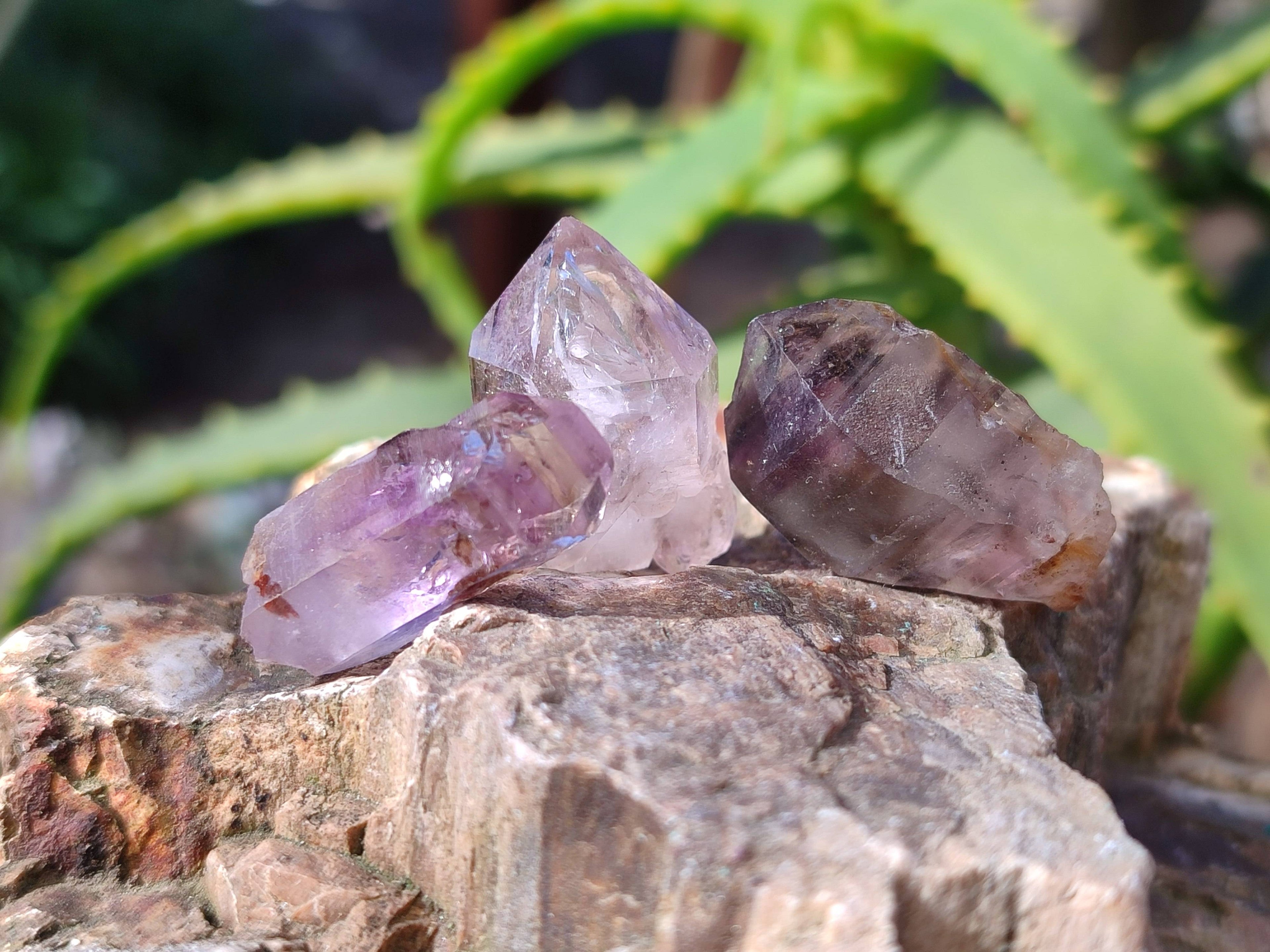 Natural Royal Zulu Amethyst Crystals x 70 from KwaZulu Natal, South Africa - Toprock Gemstones and Minerals 