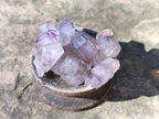 Natural Royal Zulu Amethyst Crystals x 70 from KwaZulu Natal, South Africa - Toprock Gemstones and Minerals 