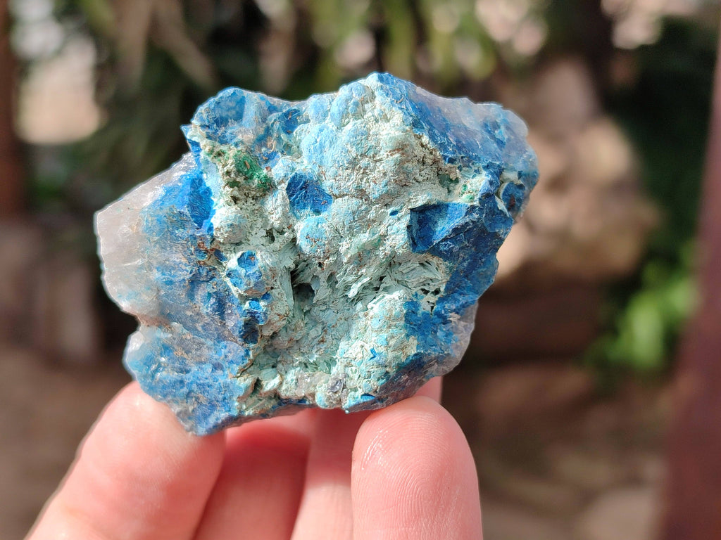 Natural Shattuckite with Azurite, Chrysocolla and Malachite Cobbed Pieces x 20 From Namibia - Toprock Gemstones and Minerals 