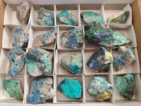 Natural Shattuckite with Azurite, Chrysocolla and Malachite Cobbed Pieces x 20 From Namibia