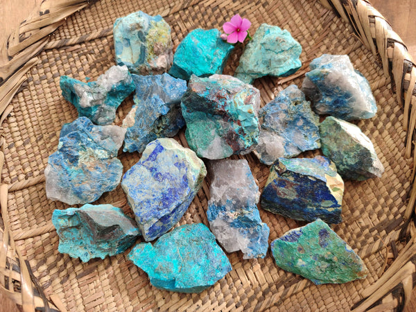 Natural Shattuckite with Azurite, Chrysocolla and Malachite Cobbed Pieces x 20 From Namibia