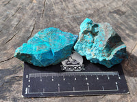 Natural Shattuckite with Azurite, Chrysocolla and Malachite Cobbed Pieces x 20 From Namibia