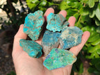 Natural Shattuckite with Azurite, Chrysocolla and Malachite Cobbed Pieces x 20 From Namibia - Toprock Gemstones and Minerals 