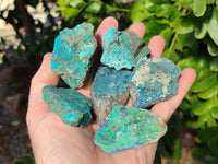 Natural Shattuckite with Azurite, Chrysocolla and Malachite Cobbed Pieces x 20 From Namibia