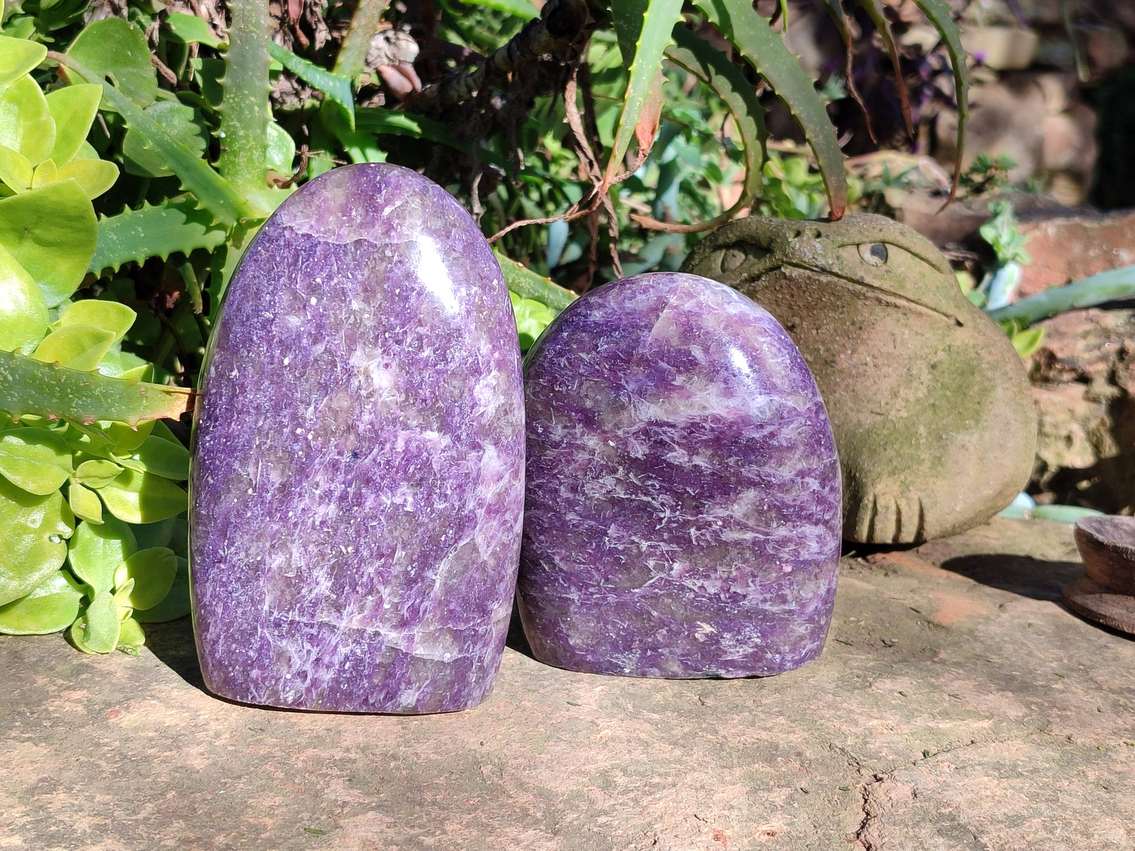 Polished Purple Lepidolite Standing Free Forms x 2 From Zimbabwe - Toprock Gemstones and Minerals 