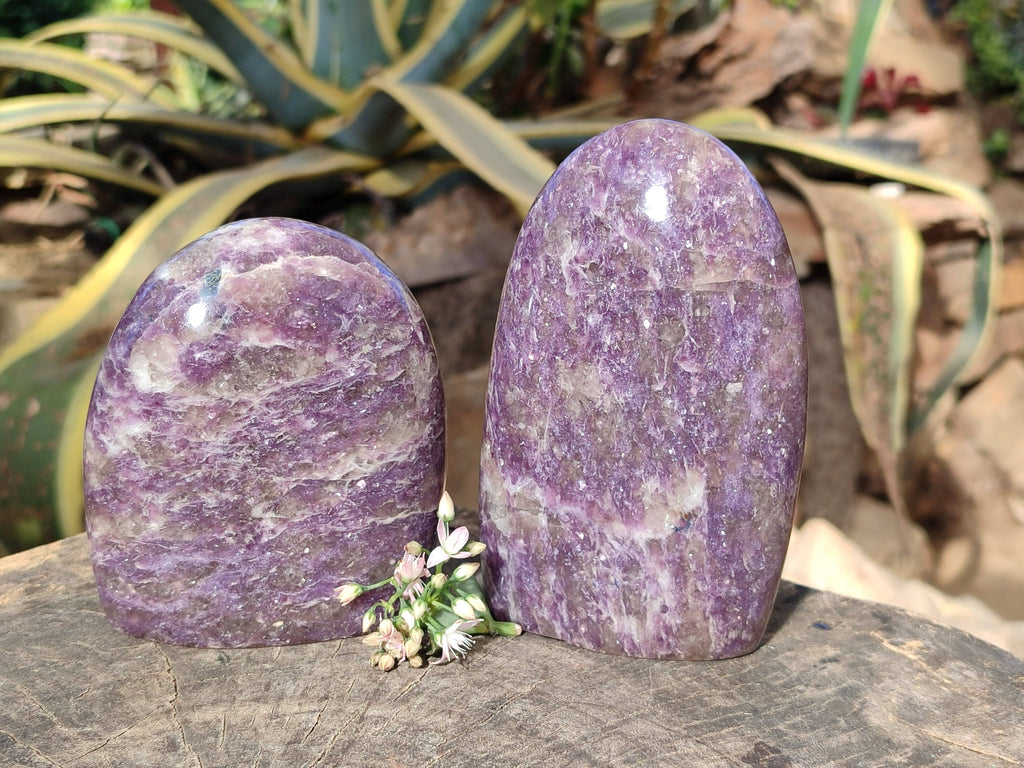 Polished Purple Lepidolite Standing Free Forms x 2 From Zimbabwe - Toprock Gemstones and Minerals 