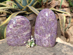 Polished Purple Lepidolite Standing Free Forms x 2 From Zimbabwe - Toprock Gemstones and Minerals 