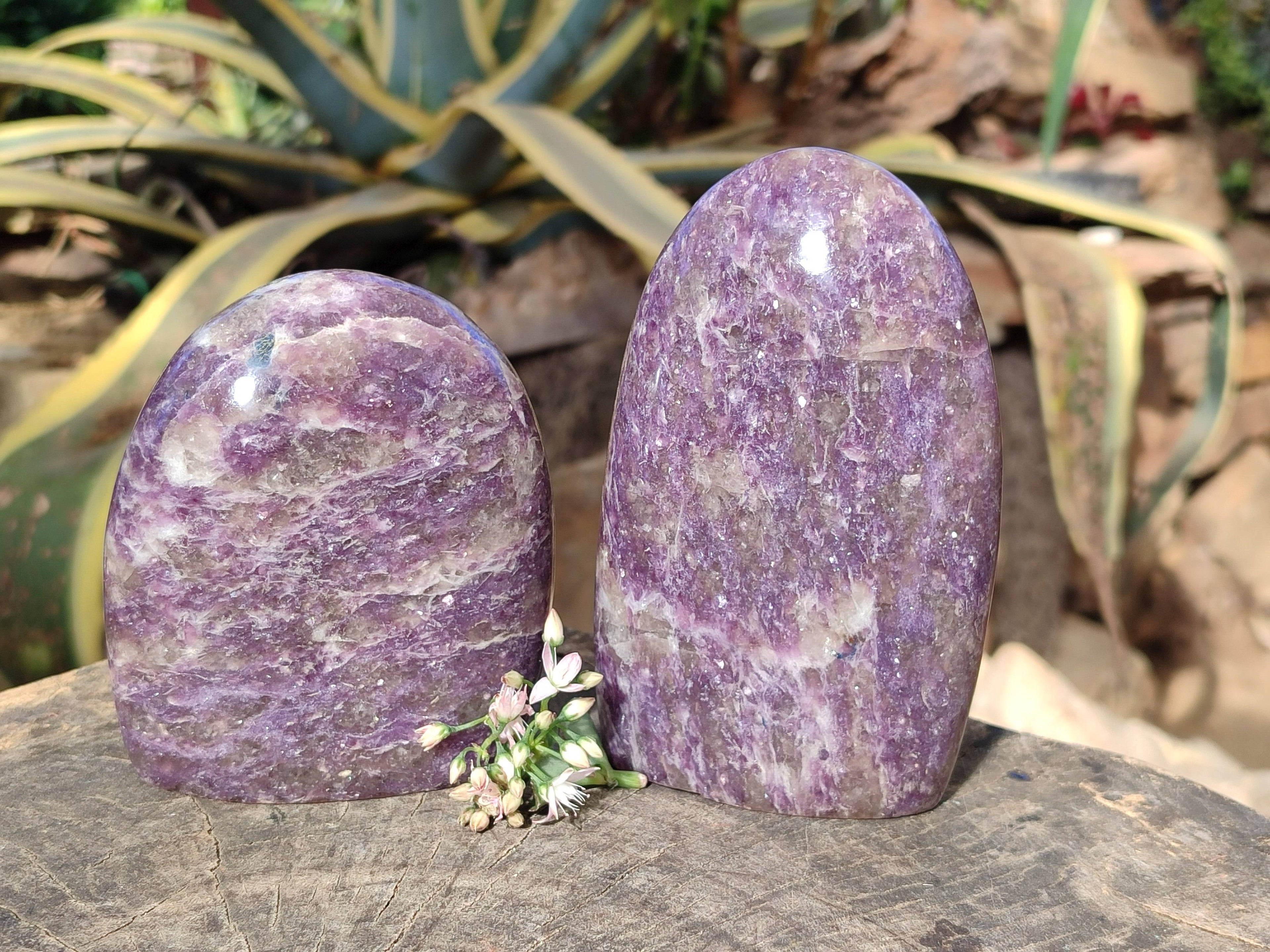 Polished Purple Lepidolite Standing Free Forms x 2 From Zimbabwe - Toprock Gemstones and Minerals 
