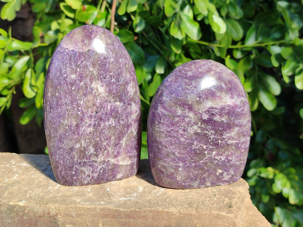 Polished Purple Lepidolite Standing Free Forms x 2 From Zimbabwe - Toprock Gemstones and Minerals 