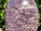 Polished Purple Lepidolite Standing Free Forms x 2 From Zimbabwe - Toprock Gemstones and Minerals 