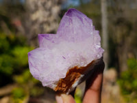 Natural Amethyst Spirit Quartz Clusters x 6 From South Africa