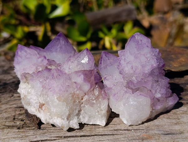 Natural Amethyst Spirit Quartz Clusters x 6 From South Africa