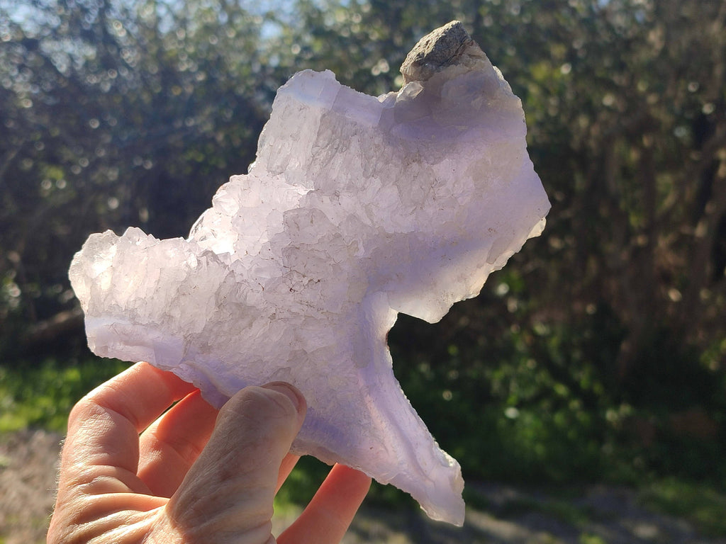 Natural Blue Lace Agate Geode Specimens x 5 From Nsanje, Malawi - Toprock Gemstones and Minerals 