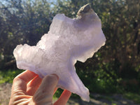 Natural Blue Lace Agate Geode Specimens x 5 From Nsanje, Malawi