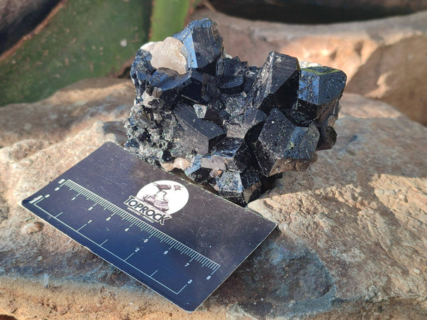 Natural Schorl Black Tourmaline, Smokey Quartz with some Hyalite Opal x 6 From Erongo, Namibia