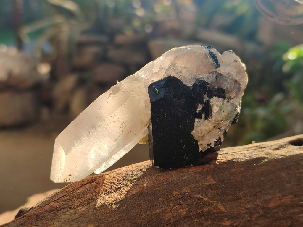 Natural Schorl Black Tourmaline, Smokey Quartz with some Hyalite Opal x 6 From Erongo, Namibia - Toprock Gemstones and Minerals 