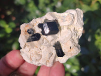 Natural Schorl Black Tourmaline, Smokey Quartz with some Hyalite Opal x 6 From Erongo, Namibia
