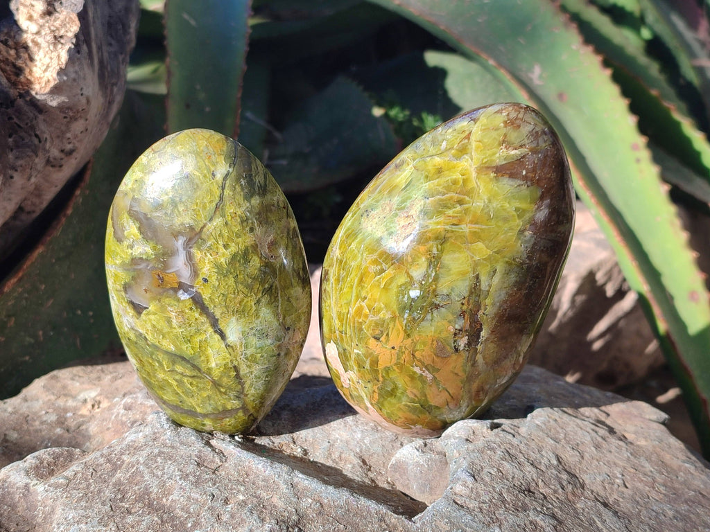 Polished Green Opal Standing Free Forms x 5 From Betroka, Madagascar - Toprock Gemstones and Minerals 
