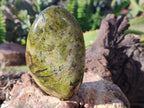 Polished Green Opal Standing Free Forms x 5 From Betroka, Madagascar - Toprock Gemstones and Minerals 