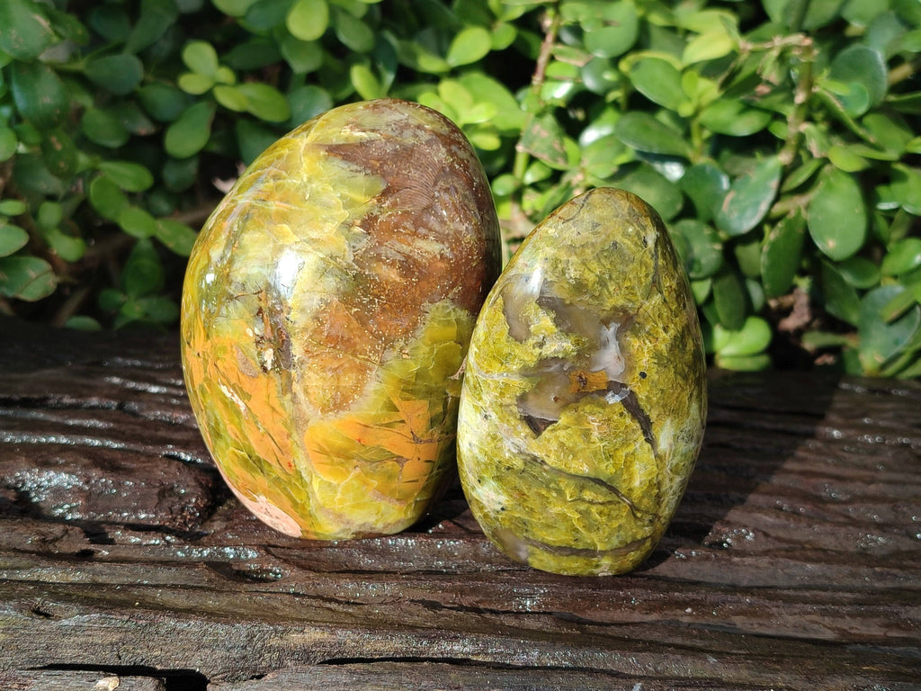 Polished Green Opal Standing Free Forms x 5 From Betroka, Madagascar - Toprock Gemstones and Minerals 