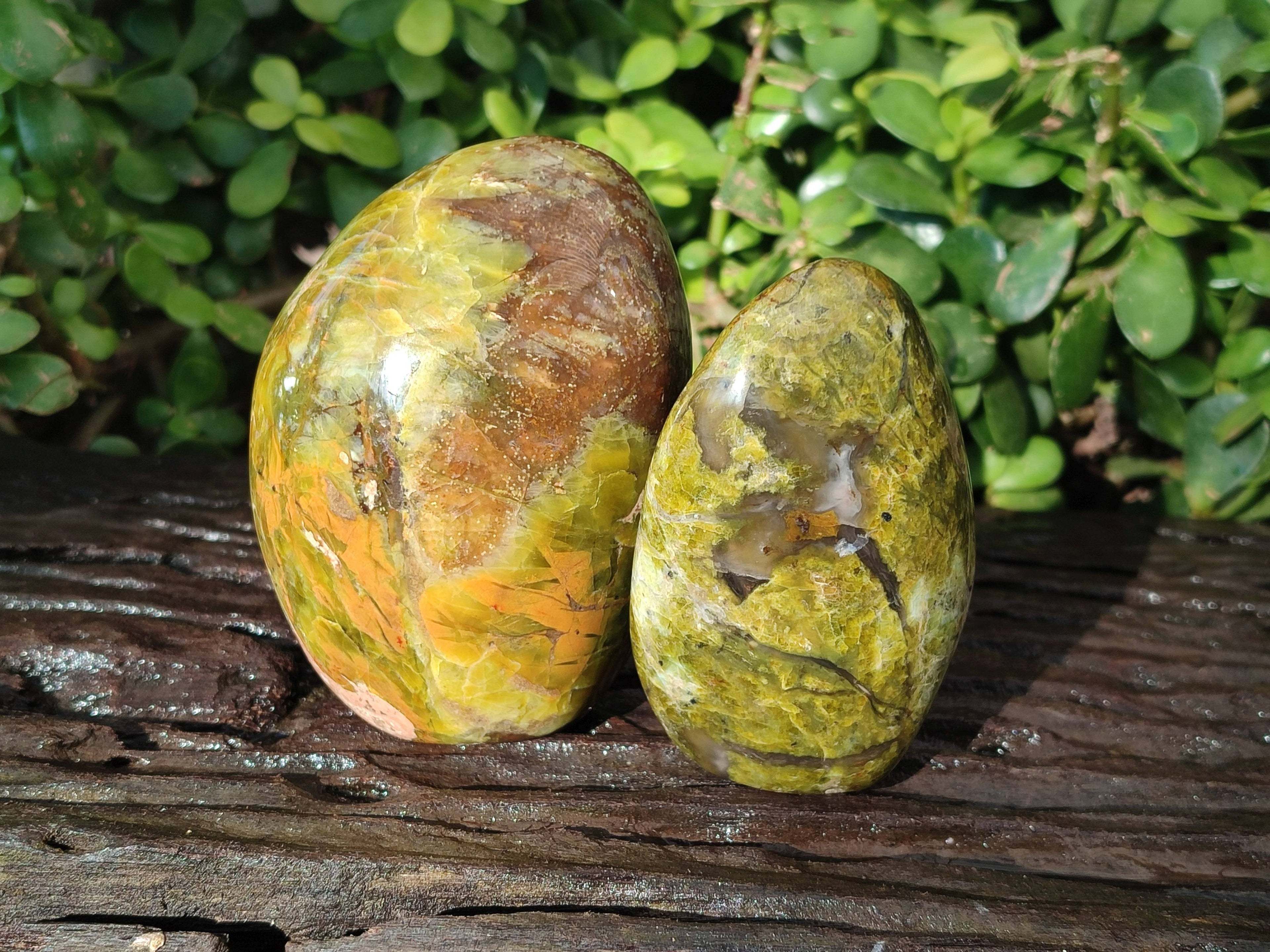 Polished Green Opal Standing Free Forms x 5 From Betroka, Madagascar - Toprock Gemstones and Minerals 