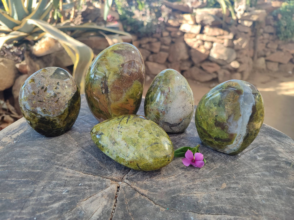 Polished Green Opal Standing Free Forms x 5 From Betroka, Madagascar - Toprock Gemstones and Minerals 