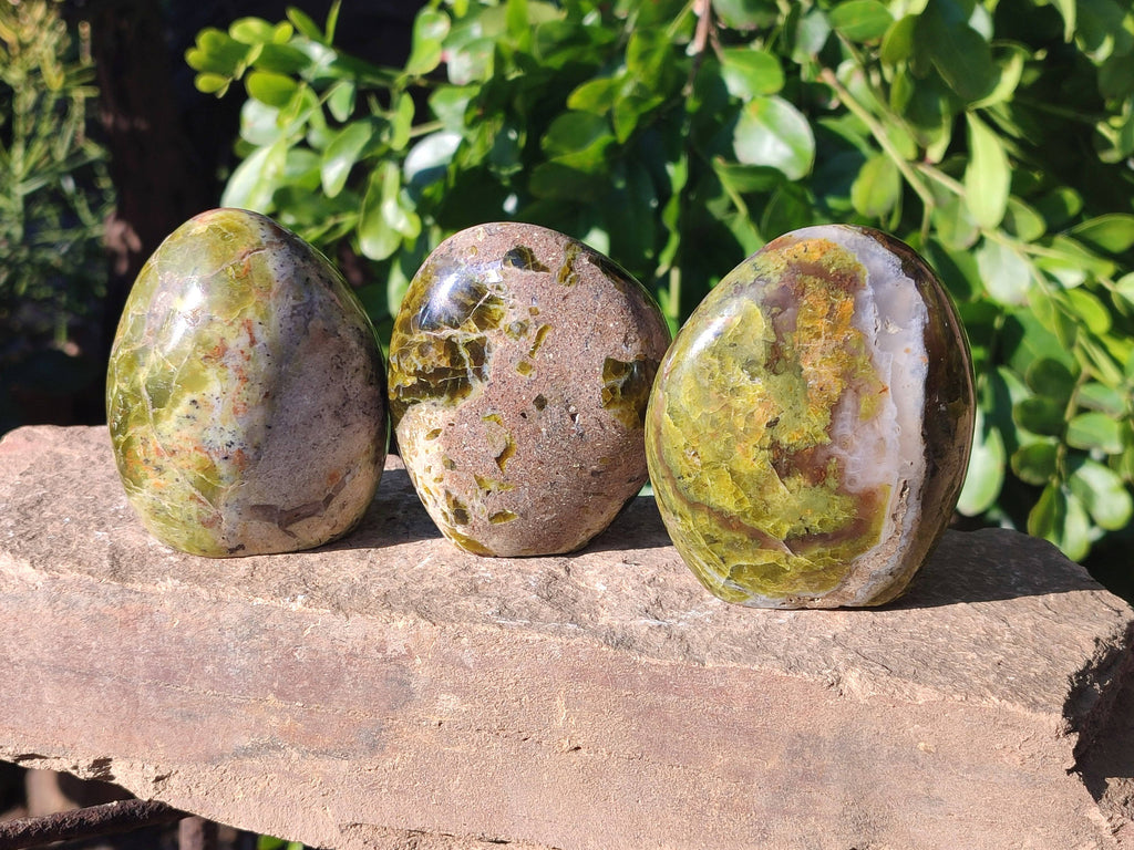 Polished Green Opal Standing Free Forms x 5 From Betroka, Madagascar - Toprock Gemstones and Minerals 