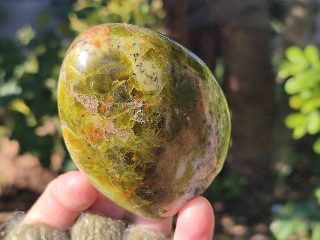 Polished Green Opal Standing Free Forms x 5 From Betroka, Madagascar - Toprock Gemstones and Minerals 