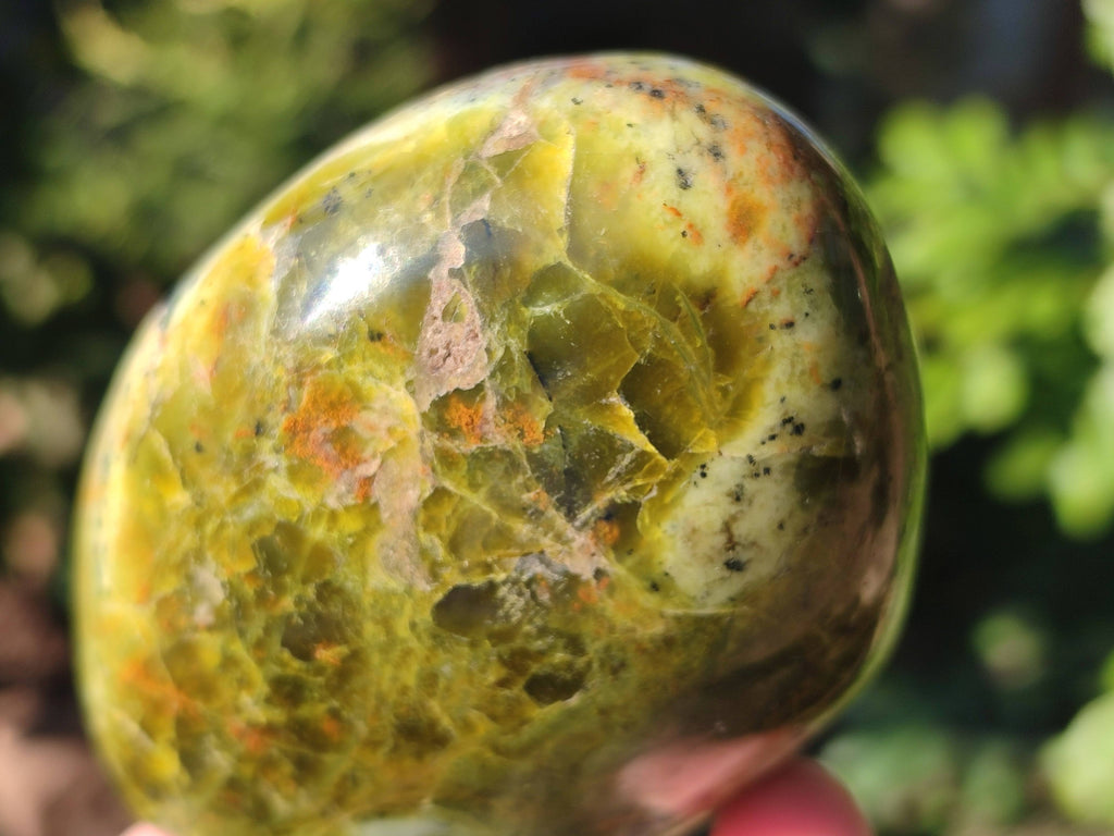 Polished Green Opal Standing Free Forms x 5 From Betroka, Madagascar - Toprock Gemstones and Minerals 