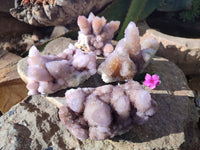 Natural Amethyst Spirit Quartz Clusters x 4 From Boekenhouthoek, South Africa