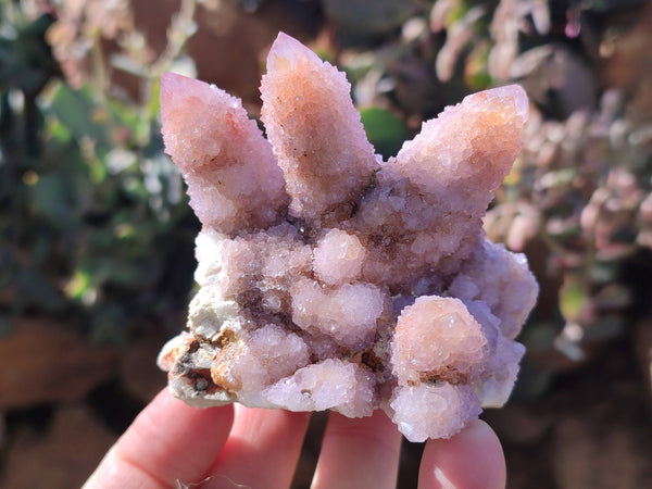 Natural Amethyst Spirit Quartz Clusters x 4 From Boekenhouthoek, South Africa