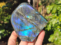 Polished Labradorite Standing Free Forms x 6 From Tulear, Madagascar - Toprock Gemstones and Minerals 