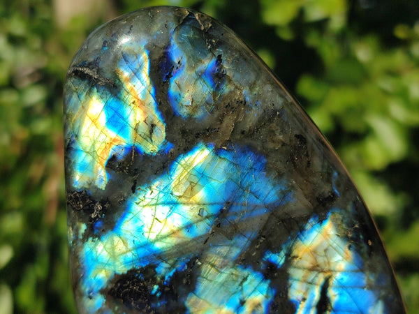 Polished Labradorite Standing Free Forms x 6 From Tulear, Madagascar - Toprock Gemstones and Minerals 