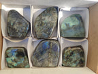 Polished Labradorite Standing Free Forms x 6 From Tulear, Madagascar - Toprock Gemstones and Minerals 