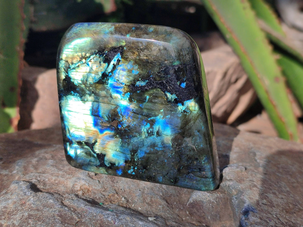 Polished Labradorite Standing Free Forms x 6 From Tulear, Madagascar - Toprock Gemstones and Minerals 