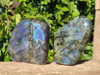 Polished Labradorite Standing Free Forms x 6 From Tulear, Madagascar - Toprock Gemstones and Minerals 