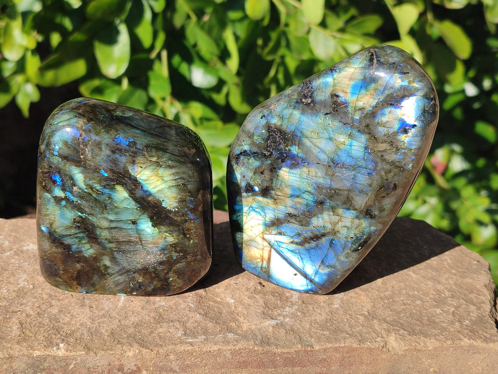 Polished Labradorite Standing Free Forms x 6 From Tulear, Madagascar - Toprock Gemstones and Minerals 