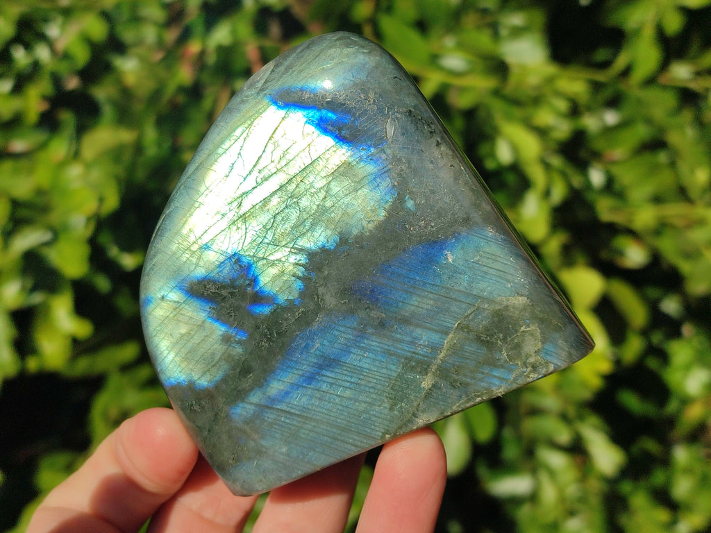 Polished Labradorite Standing Free Forms x 6 From Tulear, Madagascar - Toprock Gemstones and Minerals 