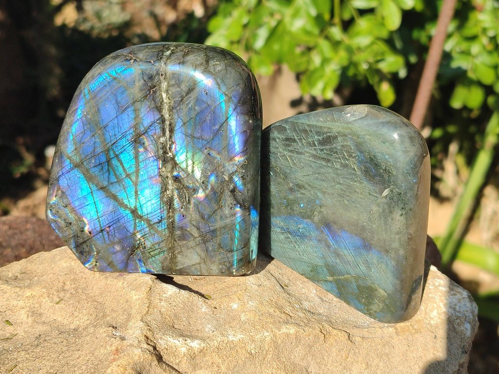Polished Labradorite Standing Free Forms x 6 From Tulear, Madagascar - Toprock Gemstones and Minerals 