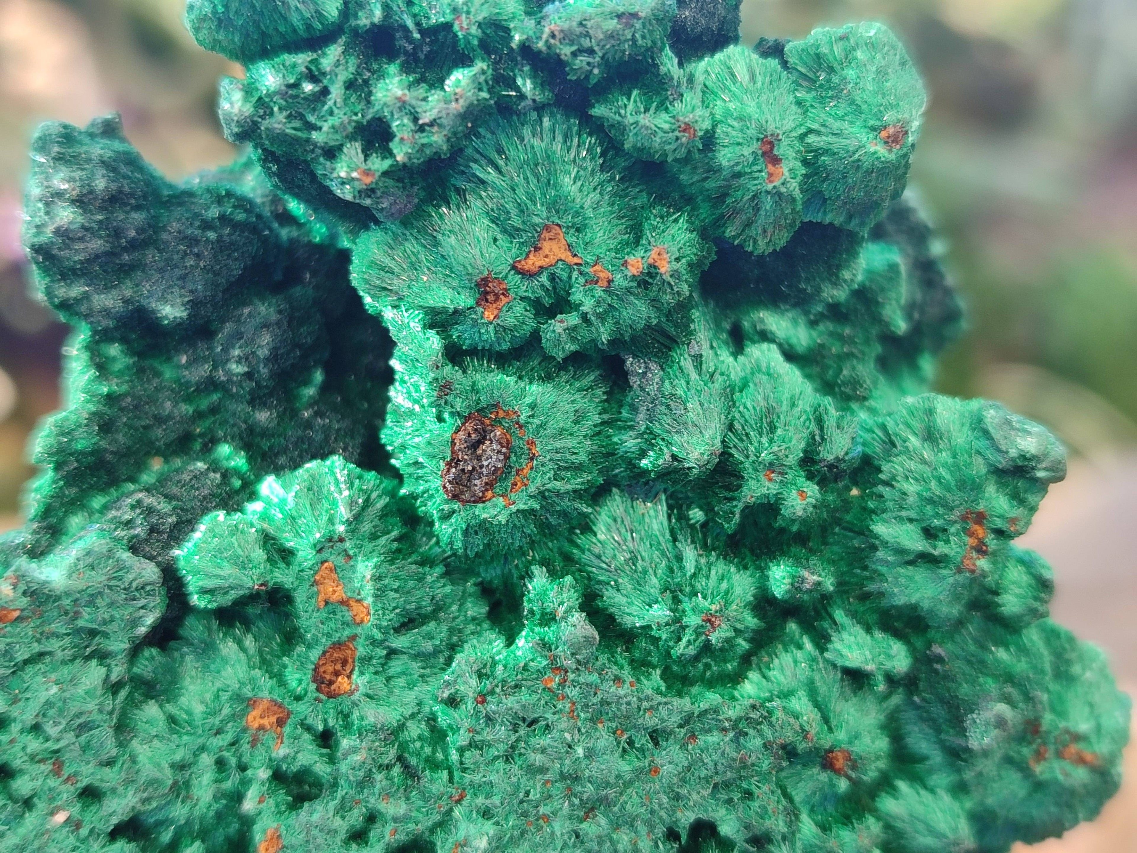 Natural Silky Malachite Specimens x 12 From Kasompe, Congo - Toprock Gemstones and Minerals 