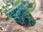 Natural Silky Malachite Specimens x 12 From Kasompe, Congo - Toprock Gemstones and Minerals 
